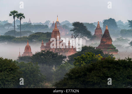 Temples in the morning mist, stupas and pagodas in the temple complex of the Plateau of Bagan, Mandalay Division Stock Photo