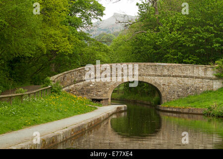 English woodlands and historic arched red brick bridge over Llangollen canal reflected in mirror surface of calm water Stock Photo