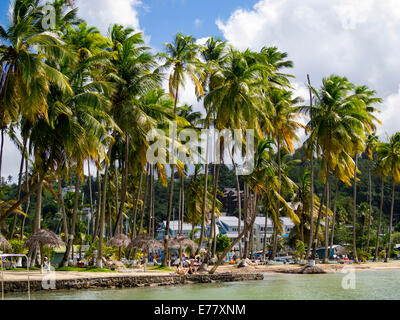 Palms, Marigot Bay, Castries region, St. Lucia island, Lesser Antilles, Windward Islands, St. Lucia Stock Photo