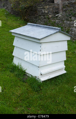 Wooden Bee Hive  WBC  - traditional shape - white painted, in a garden in Devon.