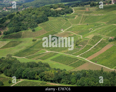 Jura region vineyards typical landscape with sheds, near Chateau Chalon, France Stock Photo