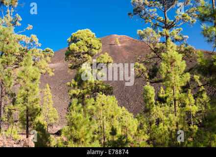 Montana Boca Cangrejo, a volcano in Tenerife, which erupted in 1492 and was seen by Columbus as he prepared to sail to America