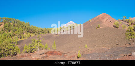 Montana Boca Cangrejo, a scoria cone in western Tenerife, with the peak of the huge stratovolcano of Teide in the background