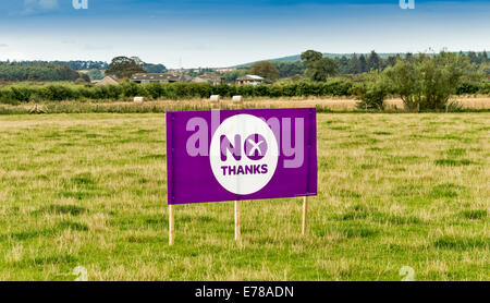 SCOTTISH INDEPENDENCE REFERENDUM 2014 PURPLE VOTE NO THANKS SIGN IN PASTURE FIELDS NEAR ELGIN MORAY Stock Photo