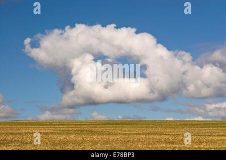 Unusual white fluffy  cumulus clouds above field Stock Photo