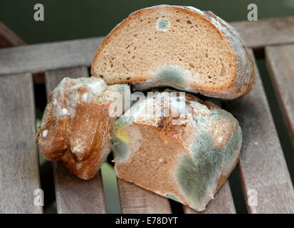 Mouldy bread in Berlin, Germany, 04 September 2014. Photo: JENS KALAENE/dpa Stock Photo