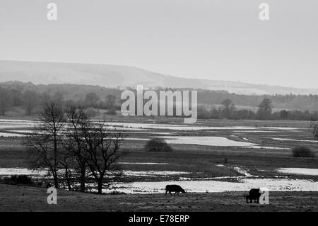 A black and white winter view across the flooded valley from Pulborough towards the South Downs Stock Photo