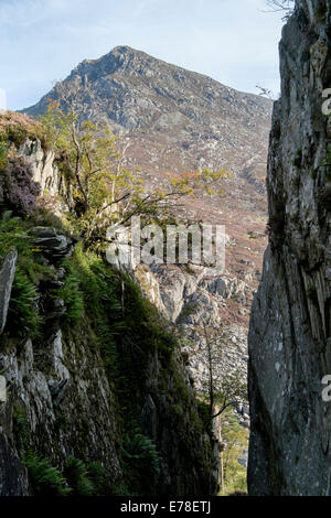 View of Pen Yr Ole Wen seen from path through narrow gap 'Tin Can Alley' rock gorge from Ogwen Valley in Snowdonia Wales UK Britain Stock Photo