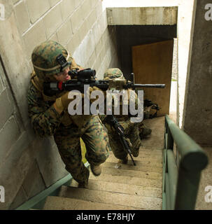 U.S. Marine Corps Lance Cpl. Justin Mcallister, an infantryman with the 1st Battalion, 23rd Marine Regiment leads a squad of Marines through a building during a training evolution designed to simulate urban combat as part of Partnership of the Americas 20