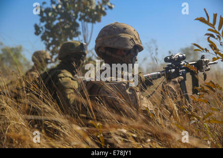 U.S. Marines with the 1st Battalion, 5th Marine Regiment, Marine Rotational Force-Darwin and Australian soldiers with the 5th Battalion, Royal Australian Regiment assault a simulated enemy position Aug. 26, 2014, at the Bradshaw Field Training Area in Aus Stock Photo