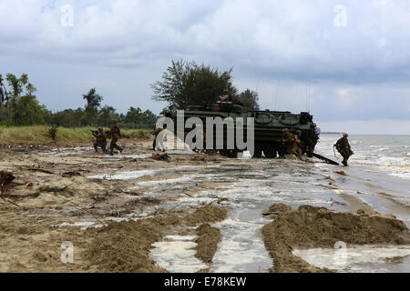 Marines with Echo Company, Battalion Landing Team 2nd Battalion, 1st Marines, 11th Marine Expeditionary Unit, and members of the Malaysian Armed Forces dismount amphibious assault vehicles and respond to a simulated ambush during Malaysia-United States Am Stock Photo