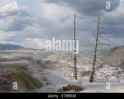 Late spring at Mammoth Hot Springs in Yellowstone National Park Stock Photo