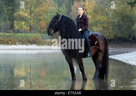 Horsewoman riding a black Friesian horse with a long crest, standing on the lakeshore in autumn, Northern Tyrol, Austria Stock Photo