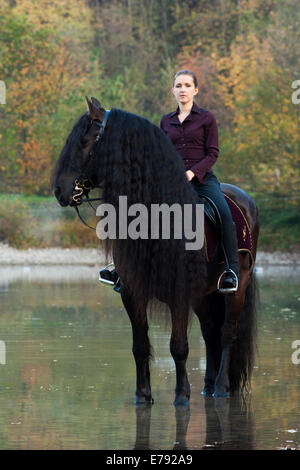 Horsewoman riding a black Friesian horse with a long crest, standing on the lakeshore in autumn, Northern Tyrol, Austria Stock Photo