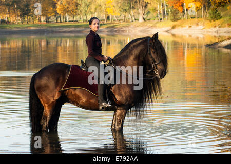 Horsewoman riding a black Friesian horse with a long crest, standing on the lakeshore in autumn, Northern Tyrol, Austria Stock Photo