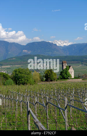 Wine growing at the castle church of St. Sebastian, Schloss Englar in Appiano on the Wine Route, Überetsch, South Tyrol, Italy Stock Photo