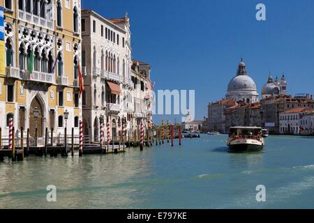 Vaporetto on Grand Canal in spring sunshine looking to Basilica of Santa Maria della Salute, Venice, Italy, Europe Stock Photo