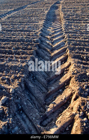 plowed field with tractor traces in autumn time Stock Photo