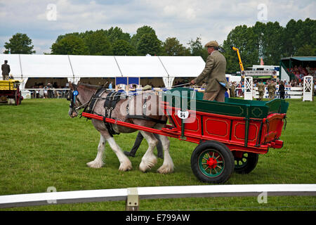 English Farm Cart, horse drawn waggon in the snow in Oxfordshire Stock ...