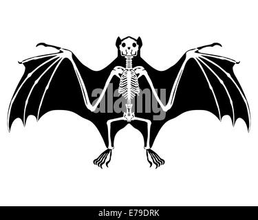 Bat skeleton Stock Photo