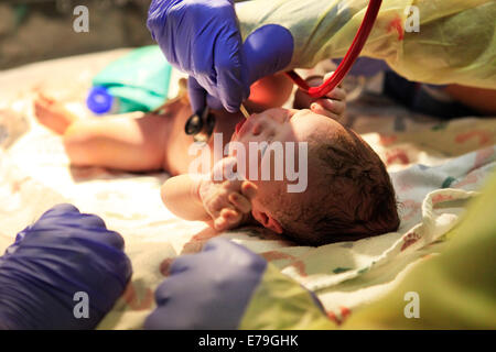 The first minutes of life of the newborn girl Stock Photo - Alamy