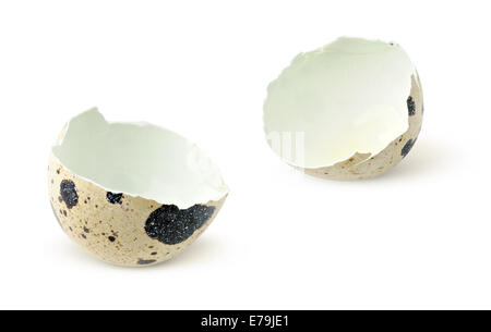 Quail eggshells on white background Stock Photo
