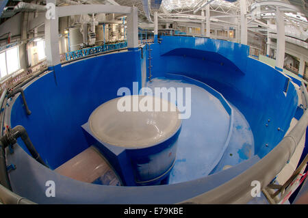 The pool at the aquarium, Vladivostok, Russky Island, Far East, Primorsky Krai, Russia Stock Photo