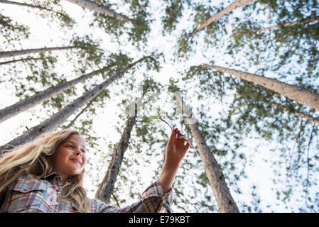 A young girl in the woods, walking through pine trees. Stock Photo