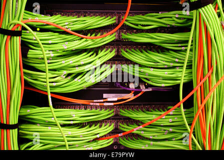 network cables in a switch Stock Photo