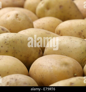 Freshly harvested potatoes vegetables with copyspace Stock Photo