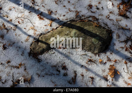 Dried leaves hi-res stock photography and images - Alamy