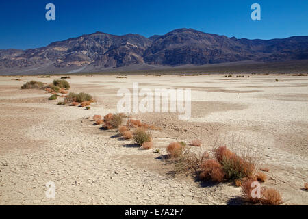 Salt Pan, Panamint Valley, and Panamint Range, Death Valley National Park, Mojave Desert, California, USA Stock Photo