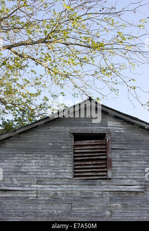 Abandoned wood building Pipe Creek Texas Stock Photo - Alamy