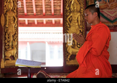 A monk praying in front of golden Buddhas Stock Photo