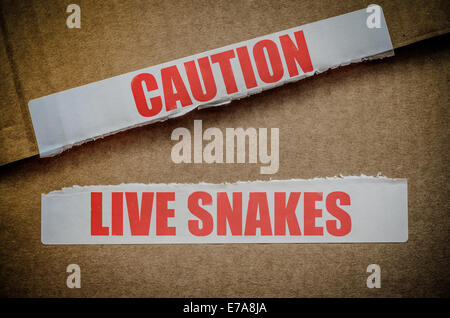 Caution Lives Snakes Stock Photo
