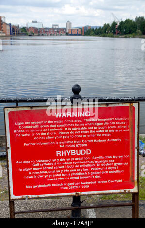 Warning sign of blue green algae, Atlantic Wharf, Cardiff Bay, Cardiff, South Wales, UK. Stock Photo