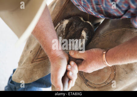 Midsection of man cleaning horse shoe outdoors Stock Photo