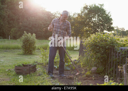 Mature man working in community garden Stock Photo