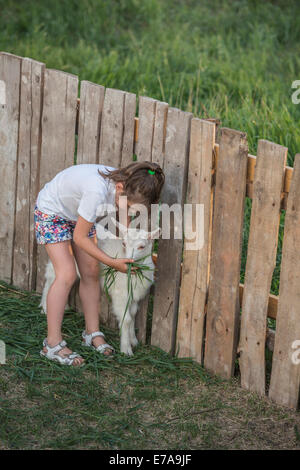 Young girl feeding baby goat in park Stock Photo