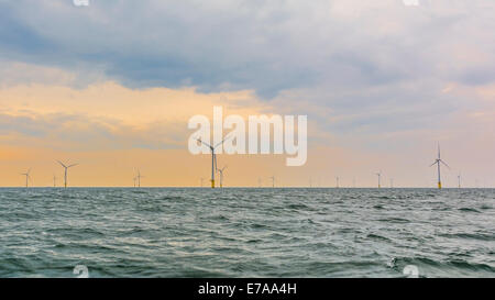 Offshore wind farm in setting sun Stock Photo