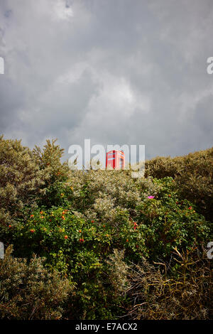 Lone telephone box hidden by overgrown bushes Stock Photo
