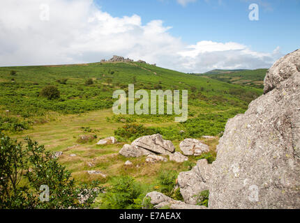 Granite upland landscape Hound Tor, Dartmoor national park, Devon, England Stock Photo