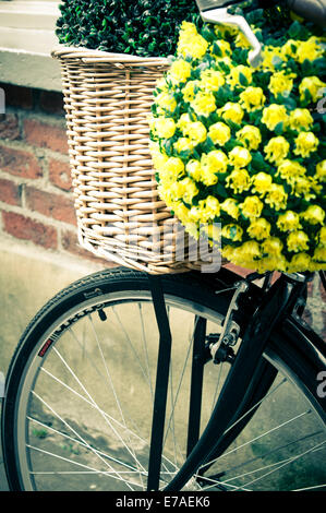 Close up on street bicycle with basket of flowers Stock Photo