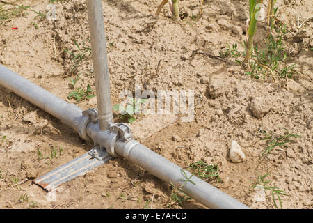 Water irrigation system in onion field Stock Photo