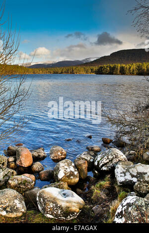 Loch an Eilein; Rothiemurchus; Aviemore; Scotland; Stock Photo