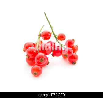 https://l450v.alamy.com/450v/e7agfd/fresh-organic-red-currants-isolated-on-white-background-e7agfd.jpg