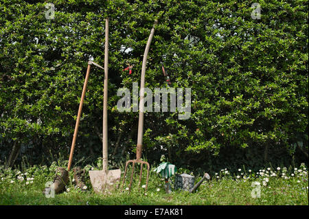 gardening tools leaning on fence Stock Photo