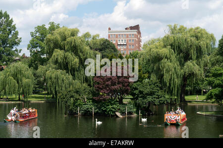 Swan boats on the pond in the public gardens on Boston Common, Boston  Massachusetts, USA Stock Photo