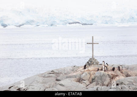 Long-tailed gentoo penguin colony and a commemoration cross (Pygoscelis papua), Petermann Island, Antarctica Stock Photo