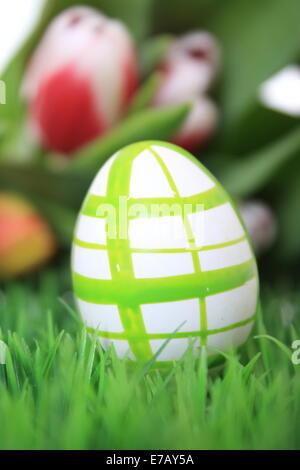 easter egg green white on meadow with tulip in the background Stock Photo